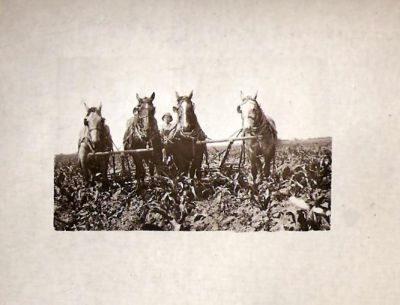 Click to view full size image
==============
Unidentified
This was Shared by Dennis Schildauer.
Unidentified Real Photo Postcard (RPPC) in the Dolan/Duff Family Album.
Unidentified
This was Shared by Dennis Schildauer.
Unidentified Real Photo Postcard (RPPC) in the Dolan/Duff Family Album.