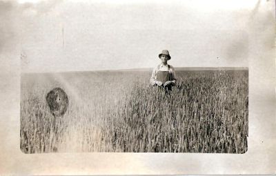 Click to view full size image
==============
Unidentified
This was Shared by Dennis Schildhauer.
Unidentified Real Photo Postcard (RPPC) in the Dolan/Duff Family Album.
Unidentified
This was Shared by Dennis Schildhauer.
Unidentified Real Photo Postcard (RPPC) in the Dolan/Duff Family Album.