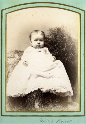 Unidentified

This was shared by a anonymous member.

Unidentified Cabinet Card Photo in the Risley/Arnold, Family Album.
