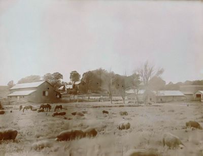Click to view full size image
==============
Henry Scheidemantel Farm
DIGITAL COPIES ONLY.
This Photo was Shared by Jacque Callis.
This is the Farm of Henry Scheidemantel.
Per Susan Sonju Research: Henry's farm and the creamery (actually
called Silver Springs Creamery) appear to have been taken for the
1905 Atlas of Winneshiek County.
Henry Scheidemantel Farm
DIGITAL COPIES ONLY.
This Photo was Shared by Jacque Callis.
This is the Farm of Henry Scheidemantel.
Per Susan Sonju Research: Henry's farm and the creamery (actually
called Silver Springs Creamery) appear to have been taken for the
1905 Atlas of Winneshiek County.