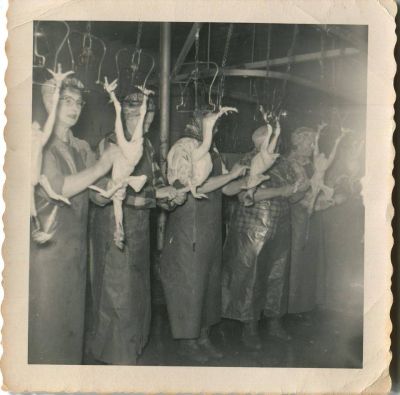 Click to view full size image
==============
Cambridge Chicken Processing Plant
This Photo was shared by Candace Elemina‎.
Lizzy Lindell (2nd from left) picking chicken at the chicken processing plant in Cambridge, Minnesota. 1949.
Cambridge Chicken Processing Plant
This Photo was shared by Candace Elemina‎.
Lizzy Lindell (2nd from left) picking chicken at the chicken processing plant in Cambridge, Minnesota. 1949.