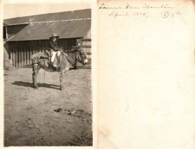 Laura Effa Van Houten

This was Donated by Carolyn F. Hall

This photo states: "Laura Van Houten, April 1915"

