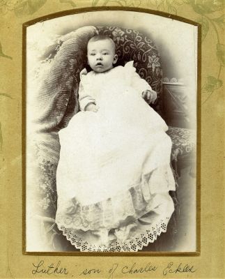 Luther Eckles
This Cabinet Card Photo was Donated by a Anonymous Donor.

This Cabinet Card Photo States: "Luther, son of Charles Eckles"
