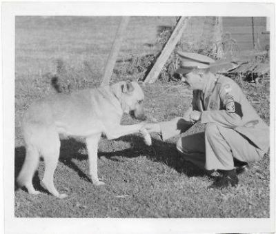 Click to view full size image
==============
Foye Emerson "Al" Pearson
THIS HAS BEEN RETURNED TO FAMILY
This is a Photo of Foye Emerson "Al" Pearson
Foye Emerson "Al" Pearson
THIS HAS BEEN RETURNED TO FAMILY
This is a Photo of Foye Emerson "Al" Pearson