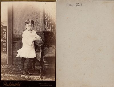 Click to view full size image
==============
Ethel Bush
This Cabinet Card Photo States: "Ethel Bush"
The Photographers name is "Perkins & Co.", Grand Rapids, Michigan
Ethel Bush
This Cabinet Card Photo States: "Ethel Bush"
The Photographers name is "Perkins & Co.", Grand Rapids, Michigan
