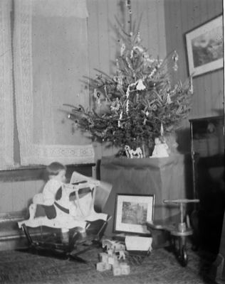 Unidentified

This is being shared by Mike Cowley

Unidentified Kodak Photographic Seed Plate.
