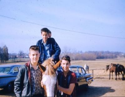 Unidentified
 
Unidentified 35MM Slide in the Caesarea Church, Mansfield, Ohio Album. 

The Date on the 35MM Slide is December 1960.

Keywords: Caesarea Church