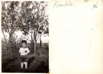 Click to view full size image
==============
Frankie
This Photo States: 'Frankie"
Frankie
This Photo States: 'Frankie"